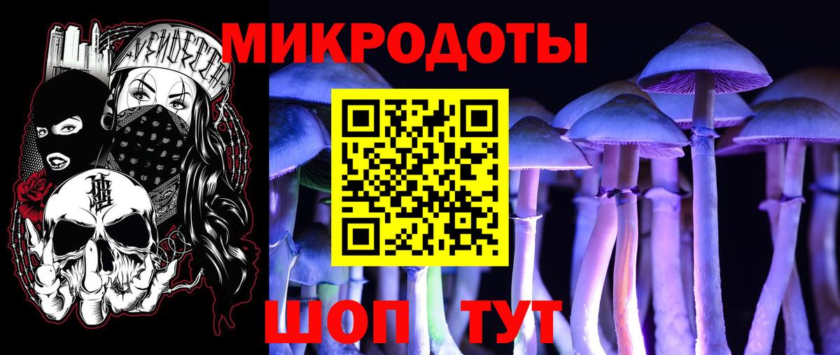 Псилоцибиновые грибы MAGIC MUSHROOMS  Вход с VPN  Будённовск 